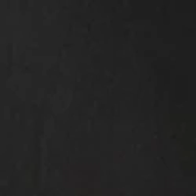 Petite Scallop Millennium Skort