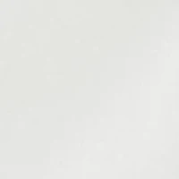 Petite Scallop Millennium Skort