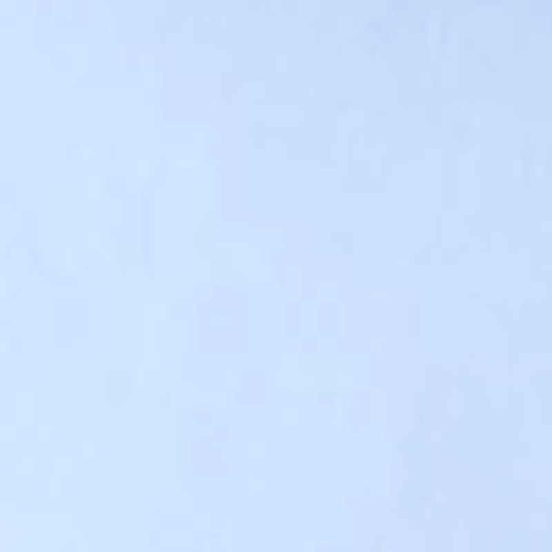 Petite Scallop Millennium Skort