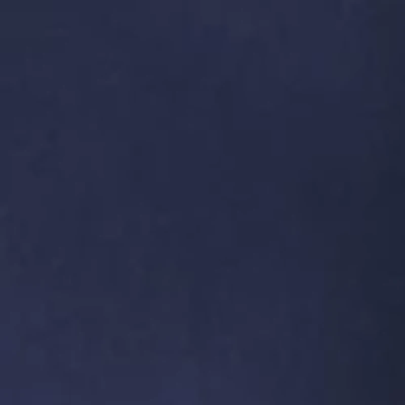 Petite Scallop Millennium Skort