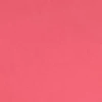 Plus Crochet Trim Skort