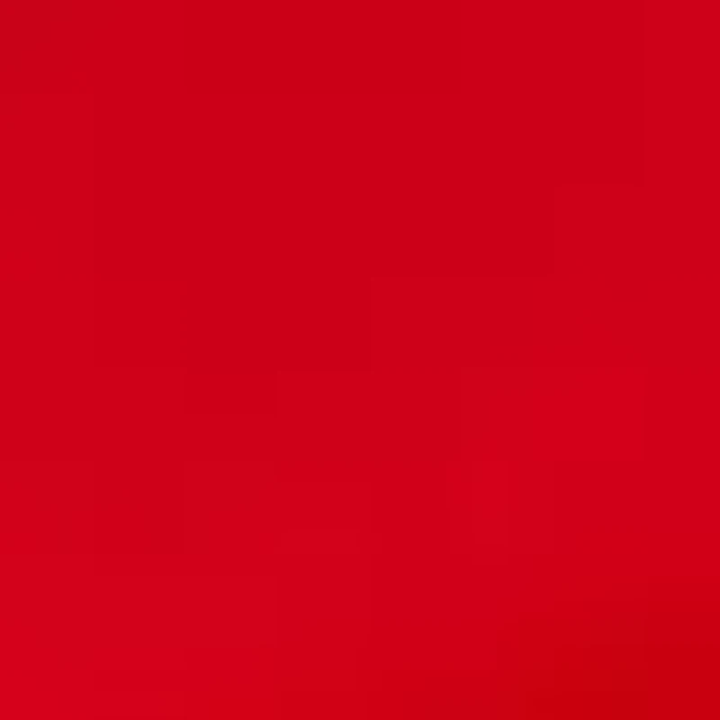 Plus Crochet Trim Skort