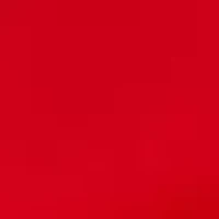 Plus Crochet Trim Skort