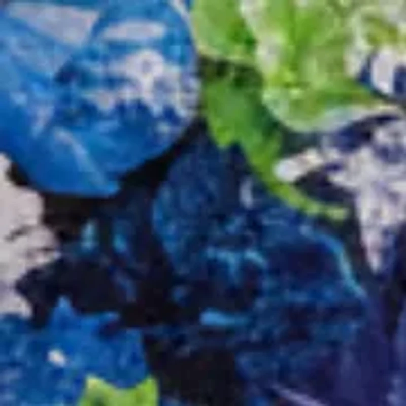 Skirted one piece swimsuit