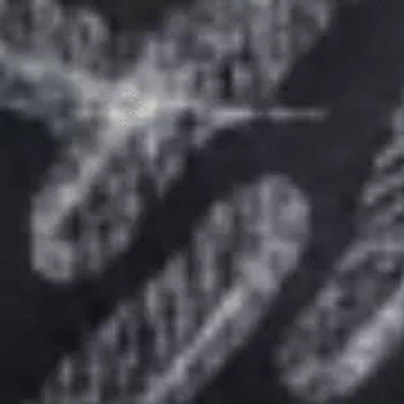 Full coverage hipster swim bottom