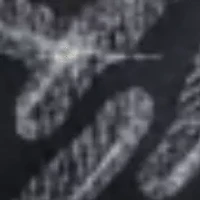 Full coverage hipster swim bottom