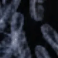 Open Back one piece swim suit