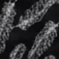 Wrap style one piece swimsuit