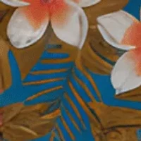 Bandeau one piece Swimsuit