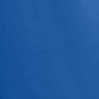 NCAA Florida Gators Long Sleeve Stripe Arm T-Shirt