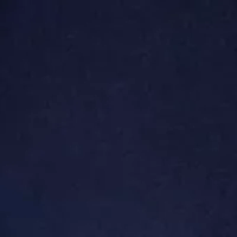 Women's Seamed Shorts with Drawstring