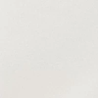 Piped Trim Skort