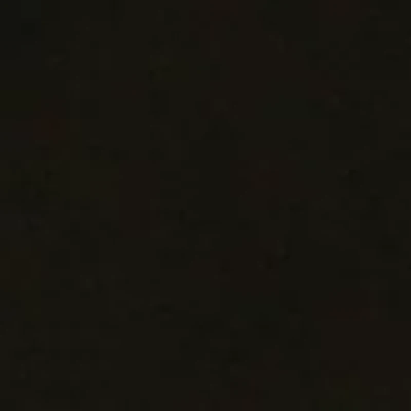 Women's 3/4 Sleeve Round Hem T-Shirt