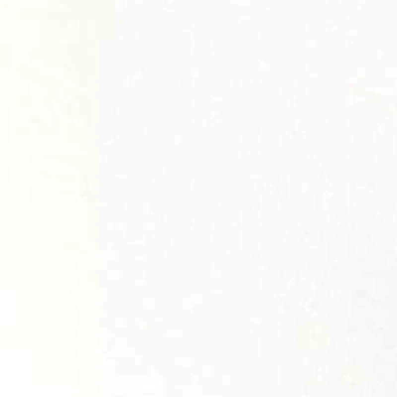 Women's Brushed Back Terry Pullover