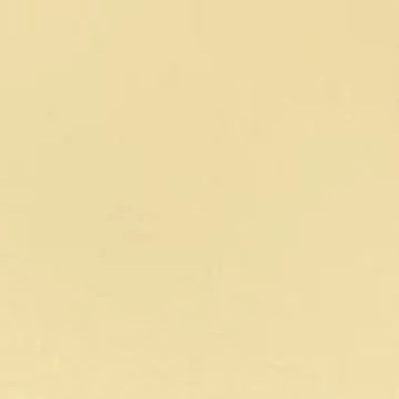 Plus Pleated Back T-Shirt