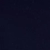 Plus Flutter Sleeve Knit Top