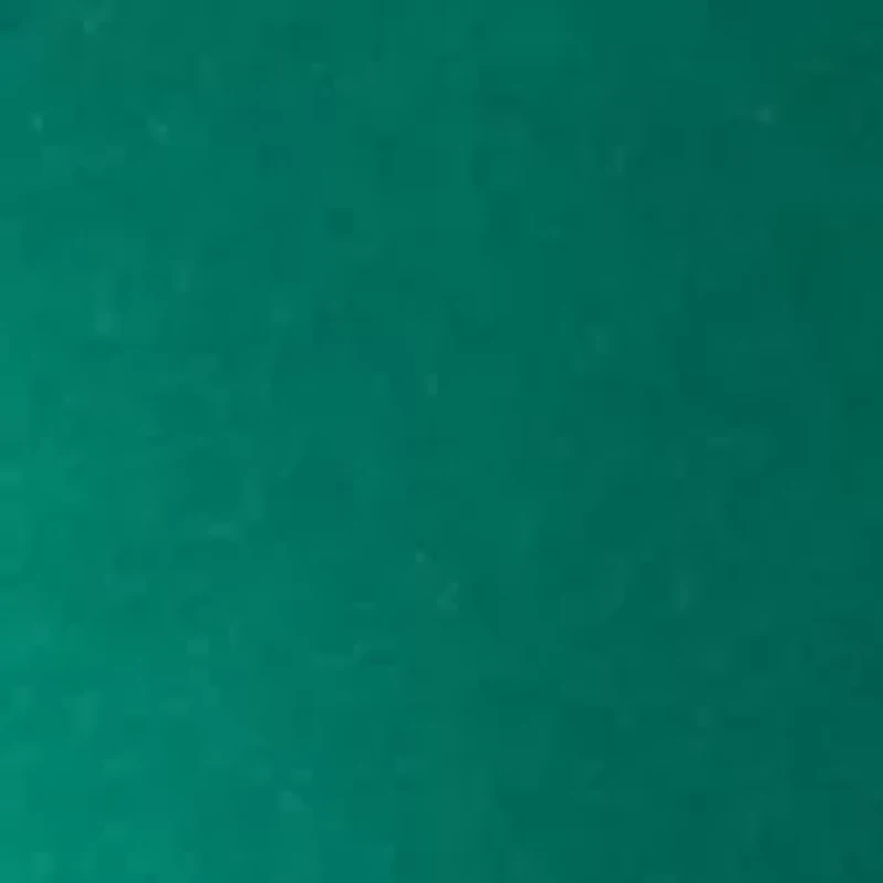 Women's Scalloped Hem Sweatshirt