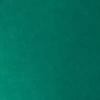 Women's Scalloped Hem Sweatshirt