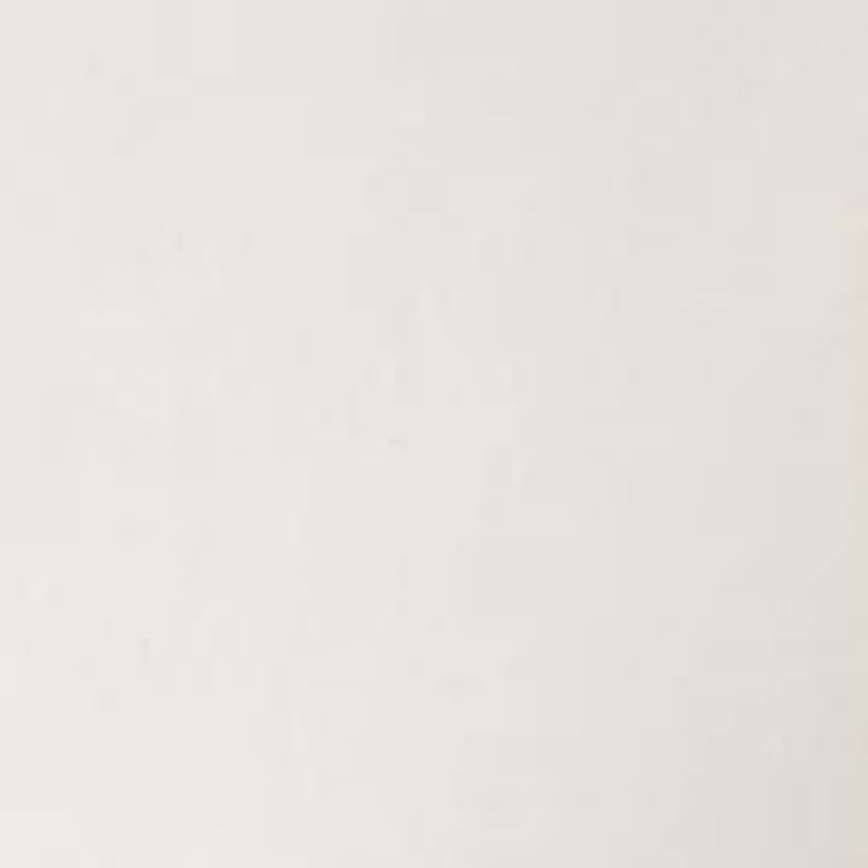 Women's French Terry Elbow Sleeve Pullover Top