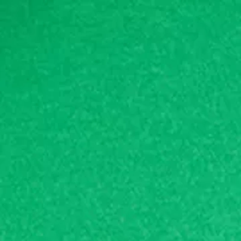 Women's Pleated Sleeve Top