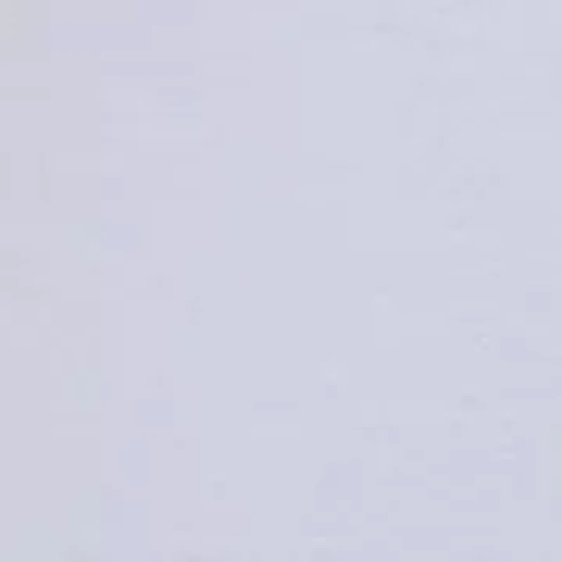 Women's Short Sleeve Crew Neck T-Shirt