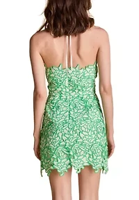 Lace Mini Dress
