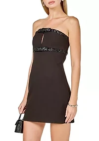 Sequin Trimmed Strapless Mini Dress