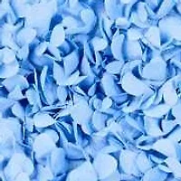 STRAPLESS FLORAL DRESS