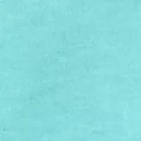 Women's V-Neck Flutter Sleeve with Trim Top