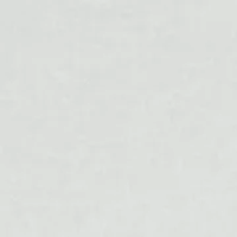 Plus Crew Neck Printed Top