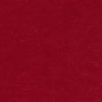 Women's Solid Ruffle Yoke Top