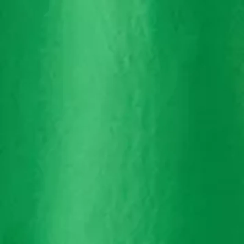 Women's Short Smocked Sleeve Shirtdress