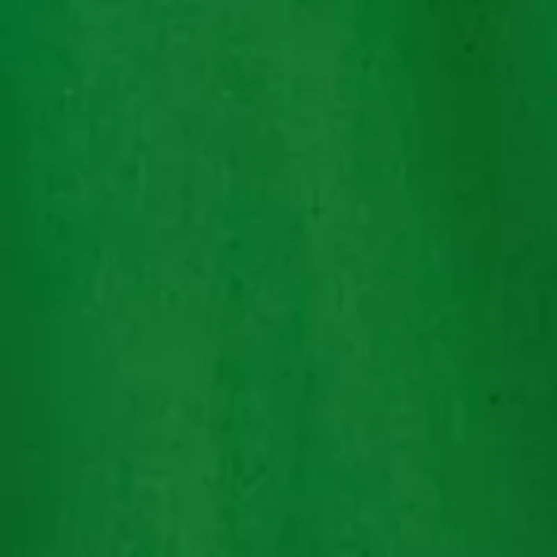 Women's Elbow Puff Sleeve Eyelet Top