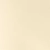 Women's Button Front Vest