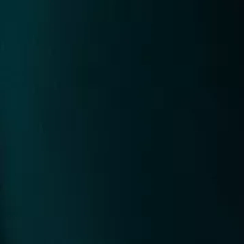 Women's Belted Wide Leg Pants