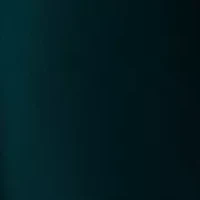 Women's Belted Wide Leg Pants