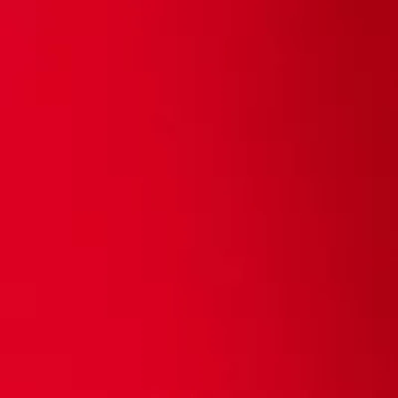 Women's Belted Flare Pants