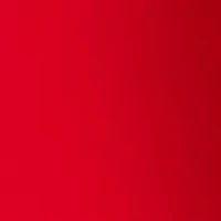 Women's Belted Flare Pants