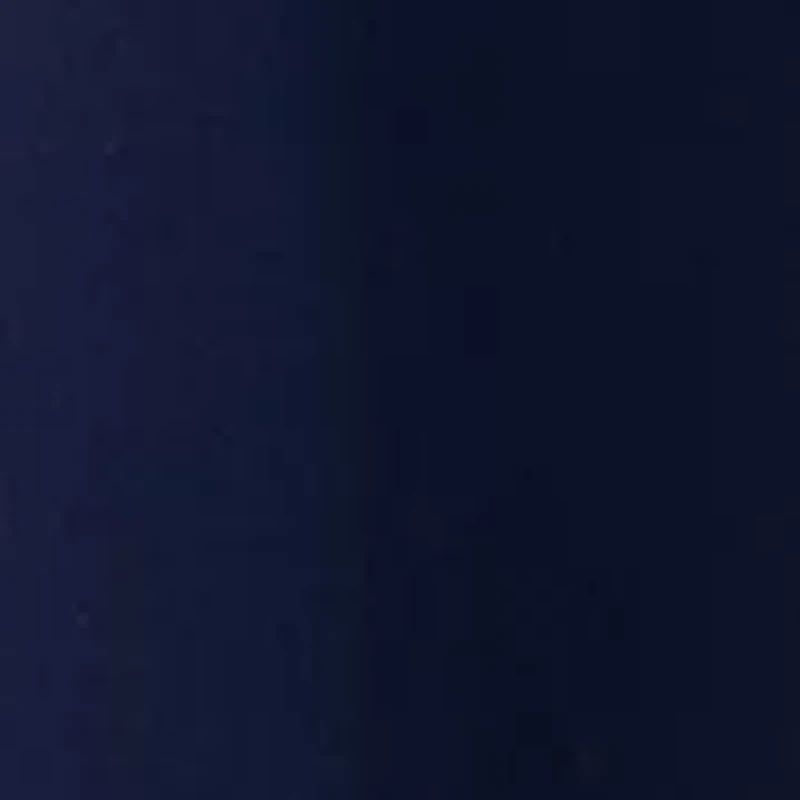 Women's Pull On Wide Leg Pants with Pleats and Rivits