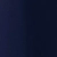 Women's Pull On Wide Leg Pants with Pleats and Rivits