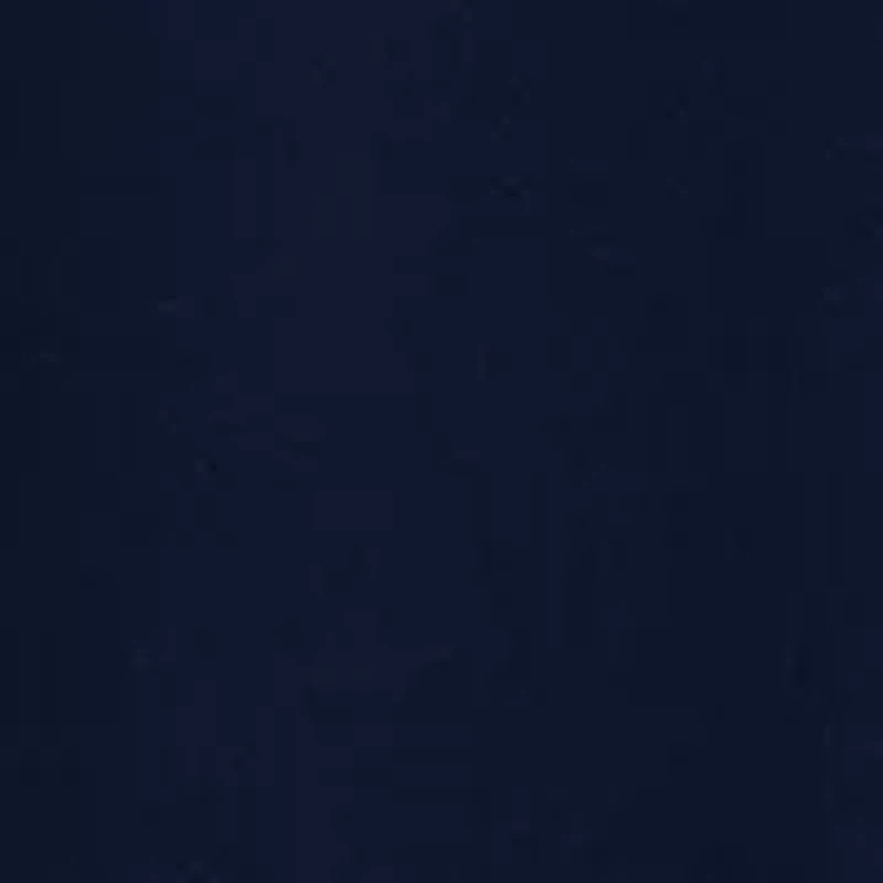 Women's Belted Wide Leg Cropped Pants