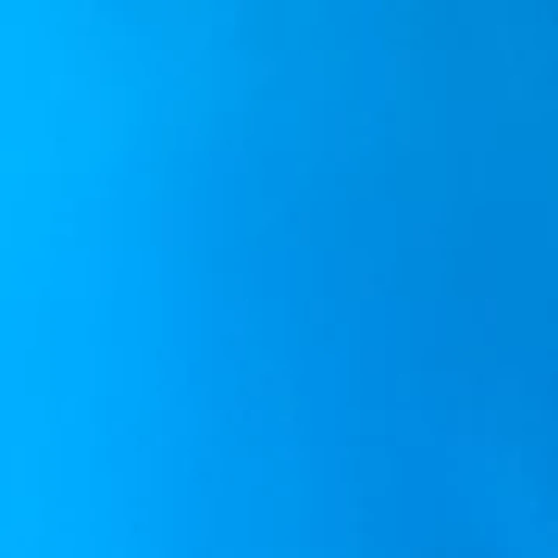 Women's Solid Button Front Blouse