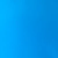 Women's Solid Button Front Blouse