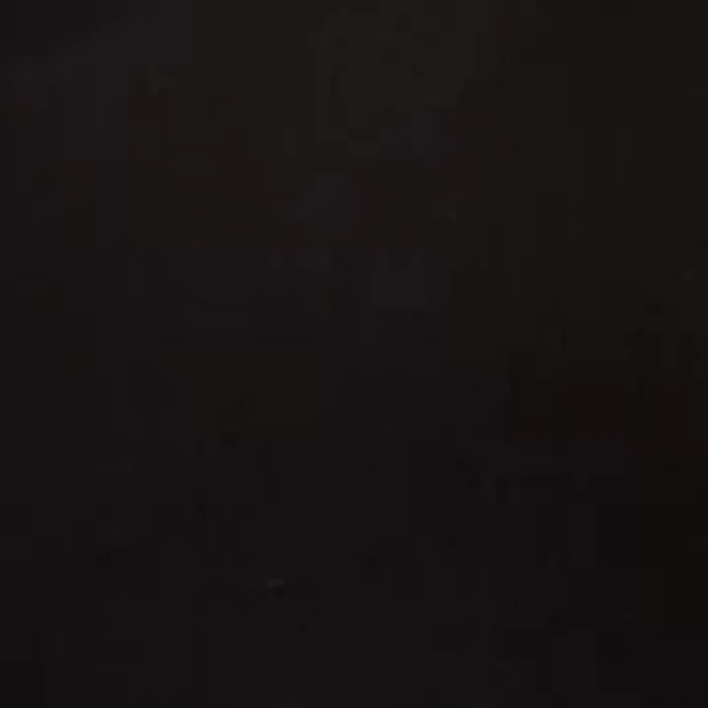 Women's Long Sleeve Bouclé Collar Blouse