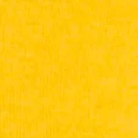 Women's Solid Button Trim Sweater