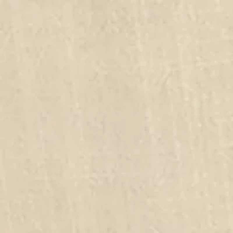 Petite Relaxed Pleat Front Shorts