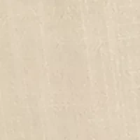 Petite Relaxed Pleat Front Shorts