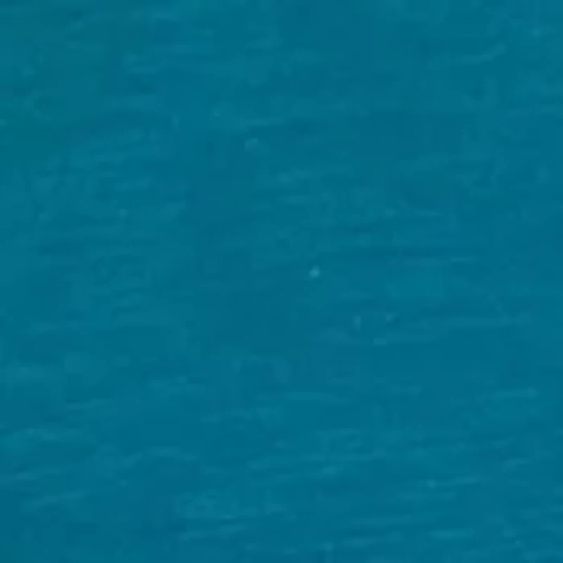 Women's Long Sleeve Smocked Henley Top