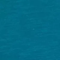 Women's Long Sleeve Smocked Henley Top