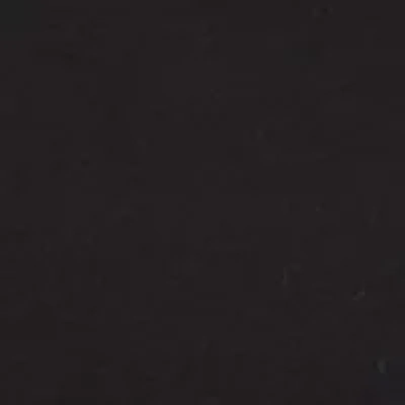 Women's Velvet Trim Top